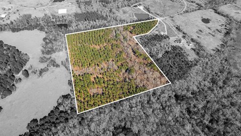 24.16 Acres in New Diana