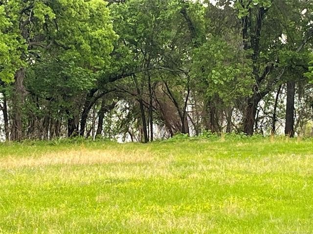 Lake Texoma Waterfront Land