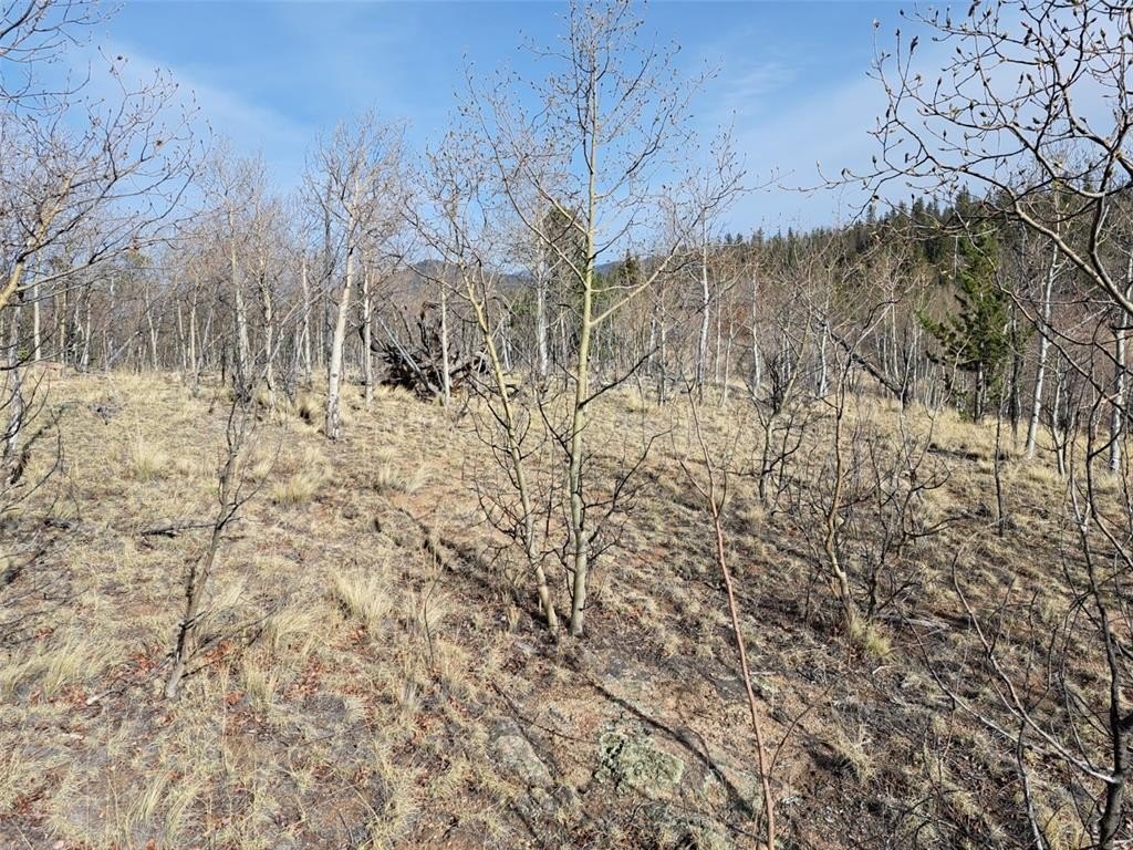 Picture 17