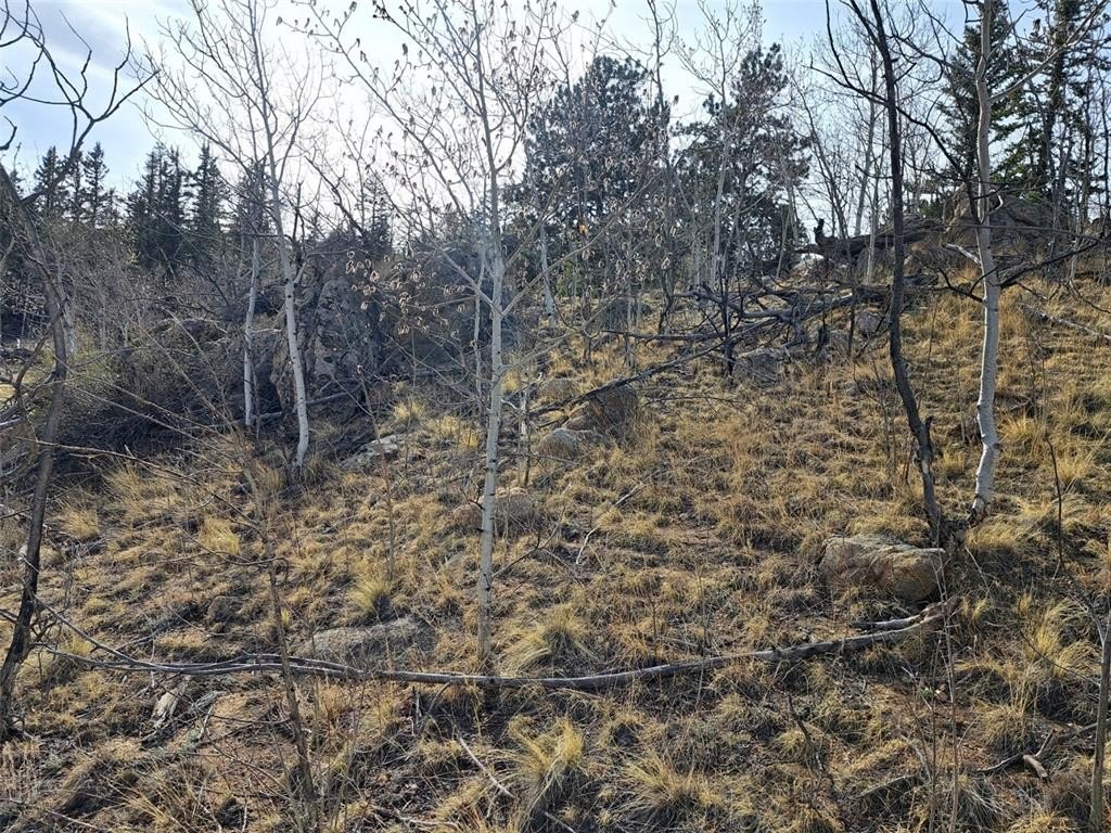 Picture 26