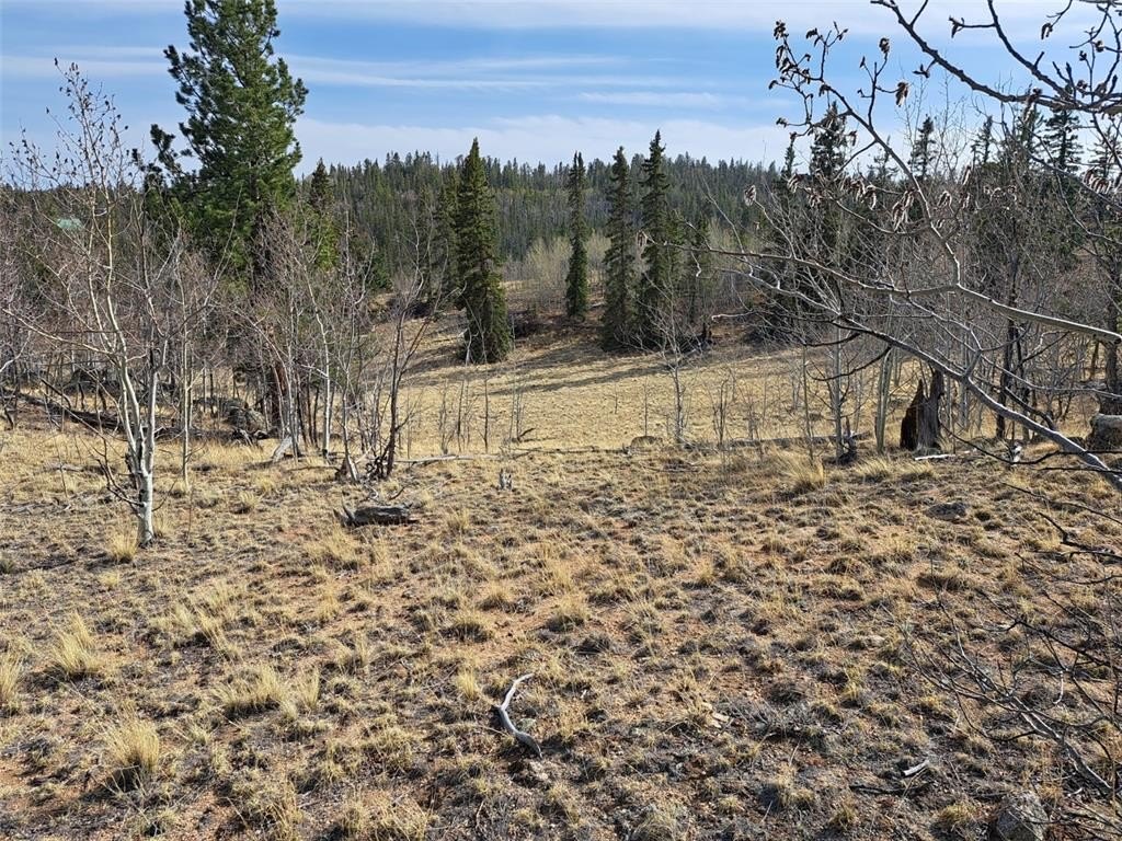 Picture 25