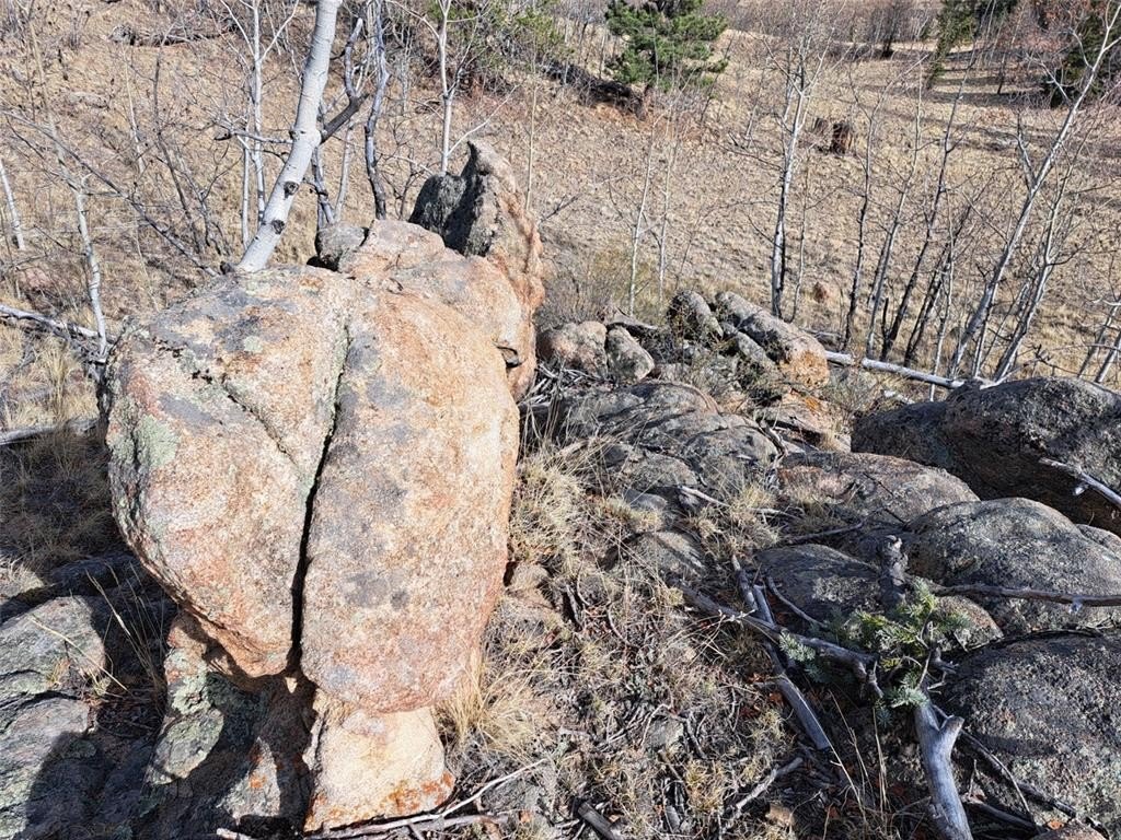 Picture 41