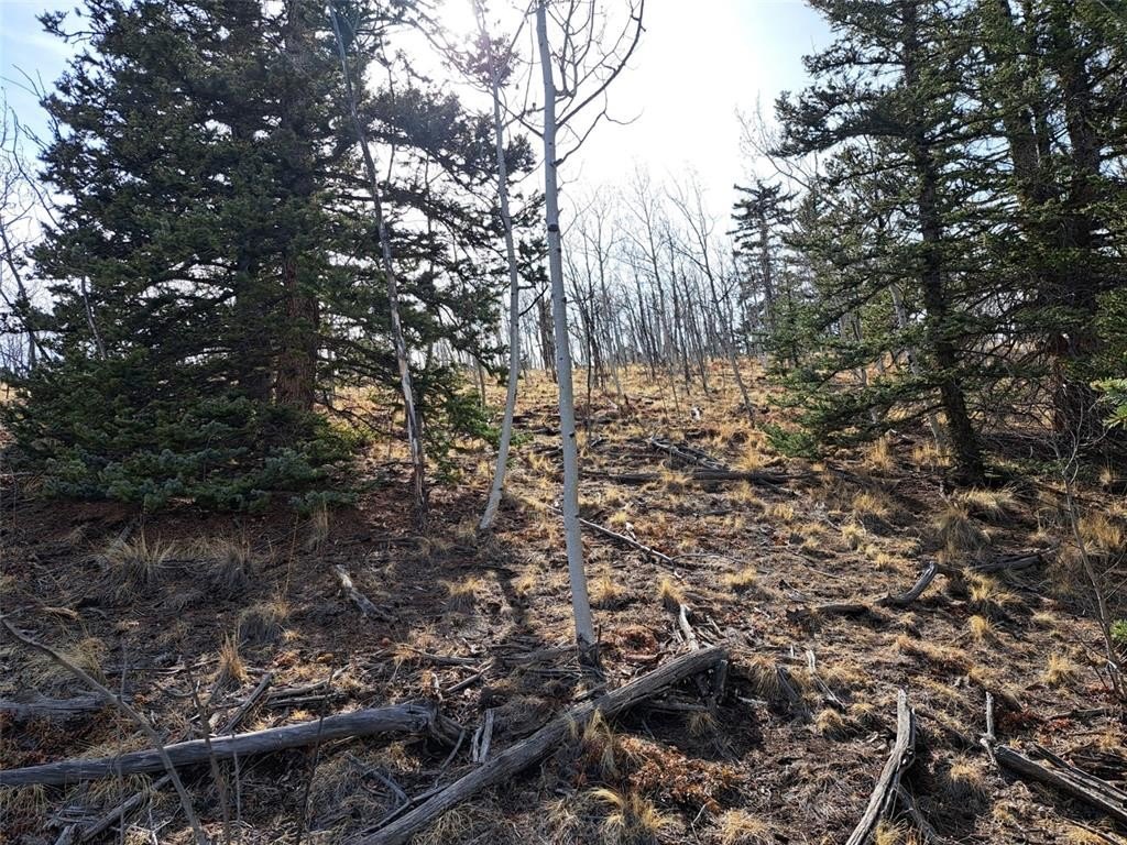 Picture 3