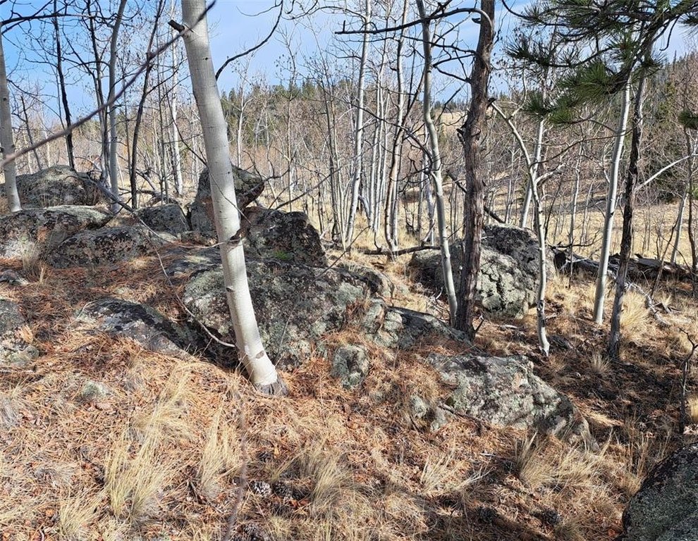 Picture 30