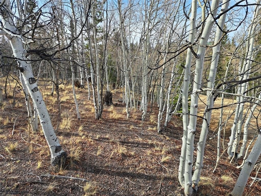 Picture 24
