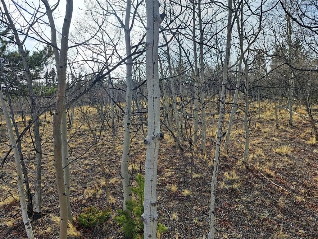 Picture 33
