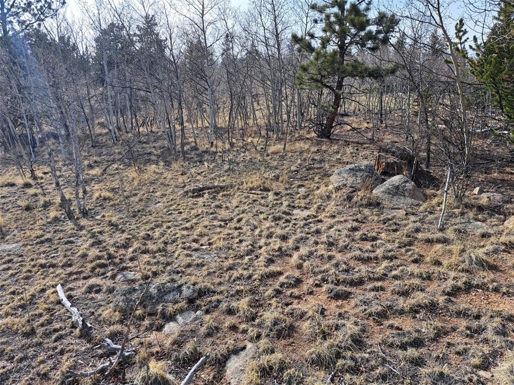 Picture 21
