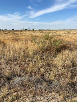 Land Available in Andrews, TX