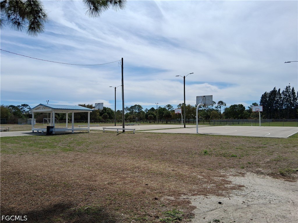 Picture 19