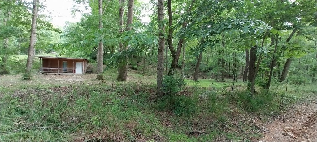 Picture 2