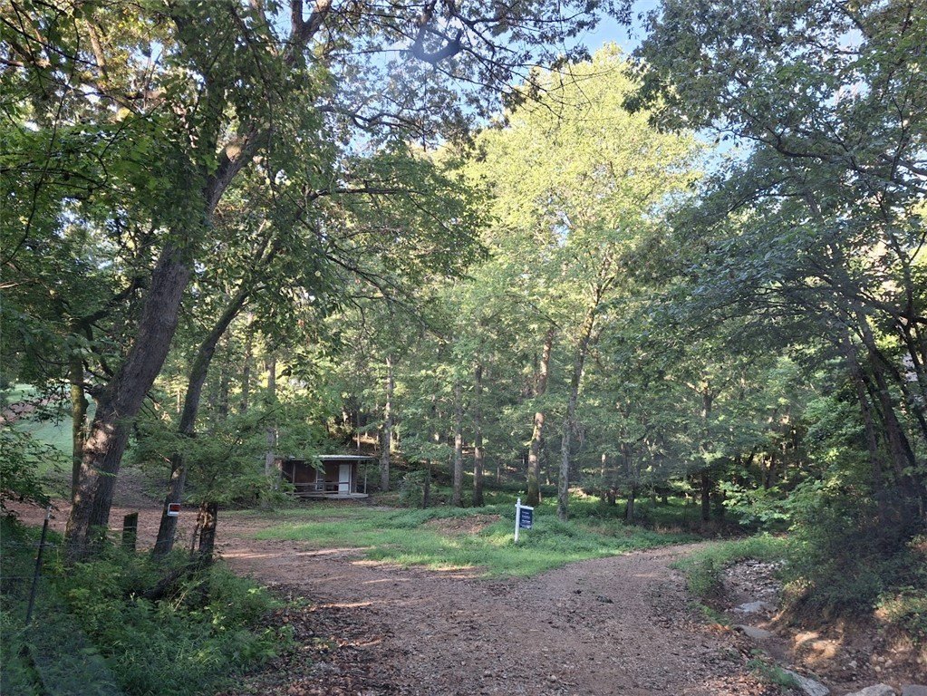 Picture 29