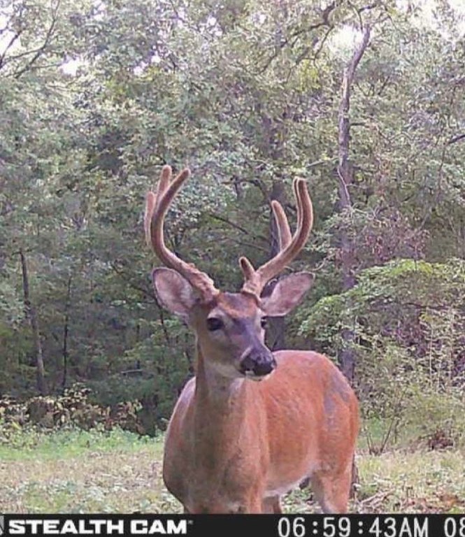 Picture 3