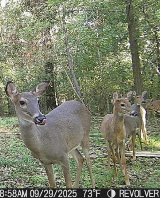 Picture 17