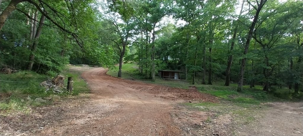 Picture 3