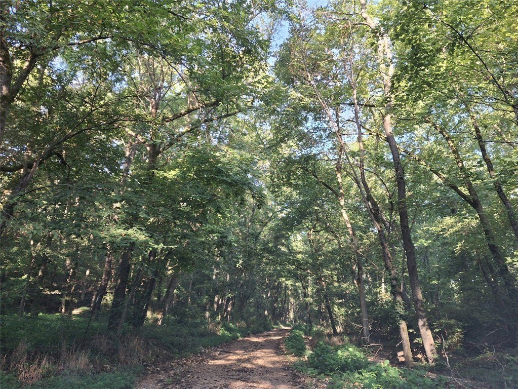 Picture 28