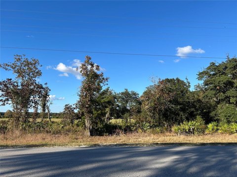 Williston, FL Quarter Acre Land