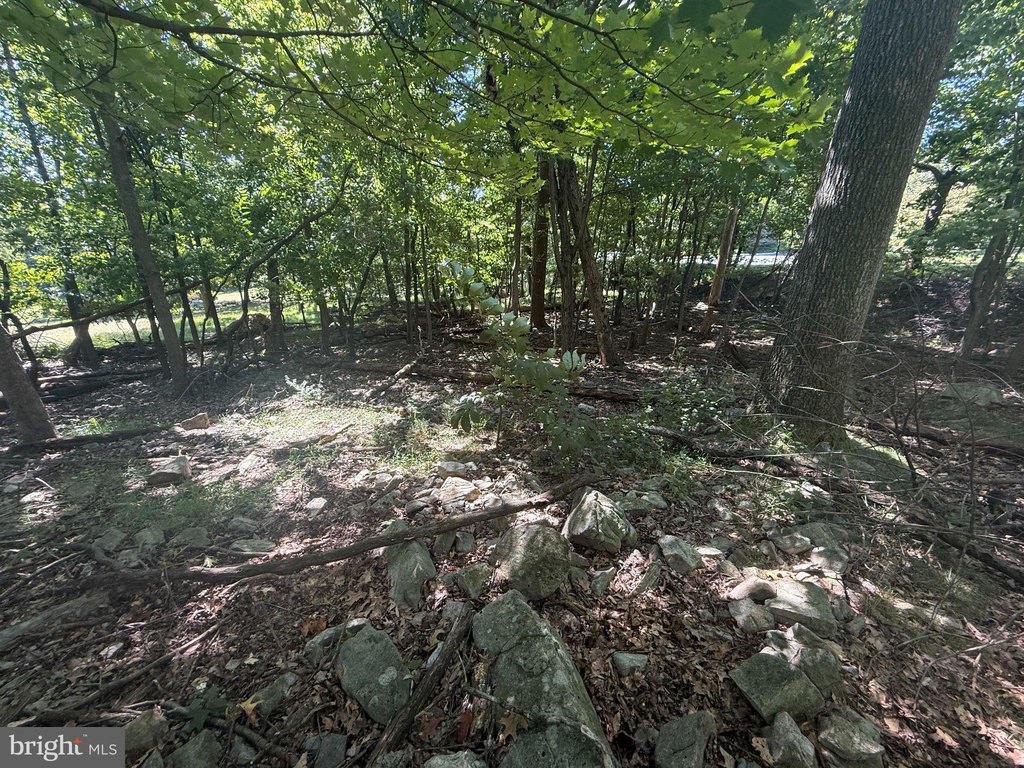 Picture 20