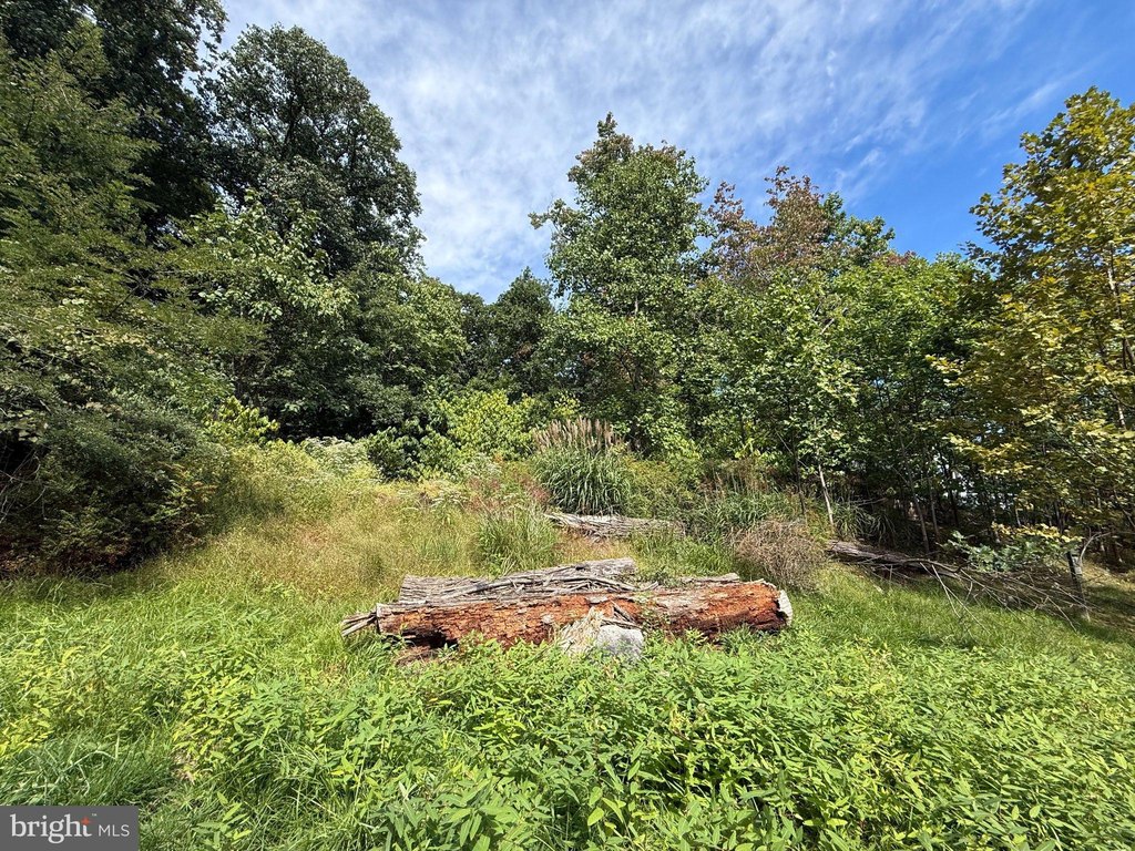 Picture 25
