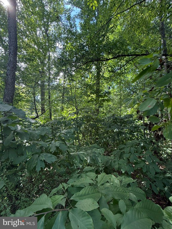 Picture 34