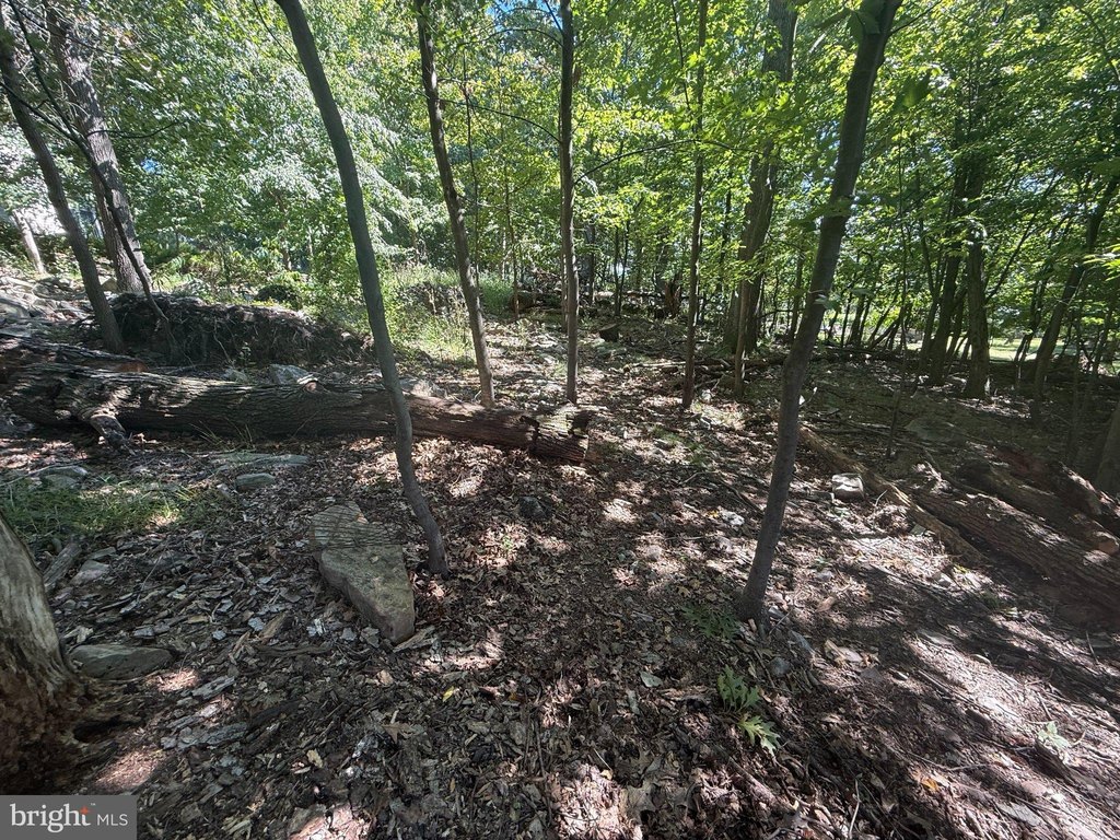 Picture 21