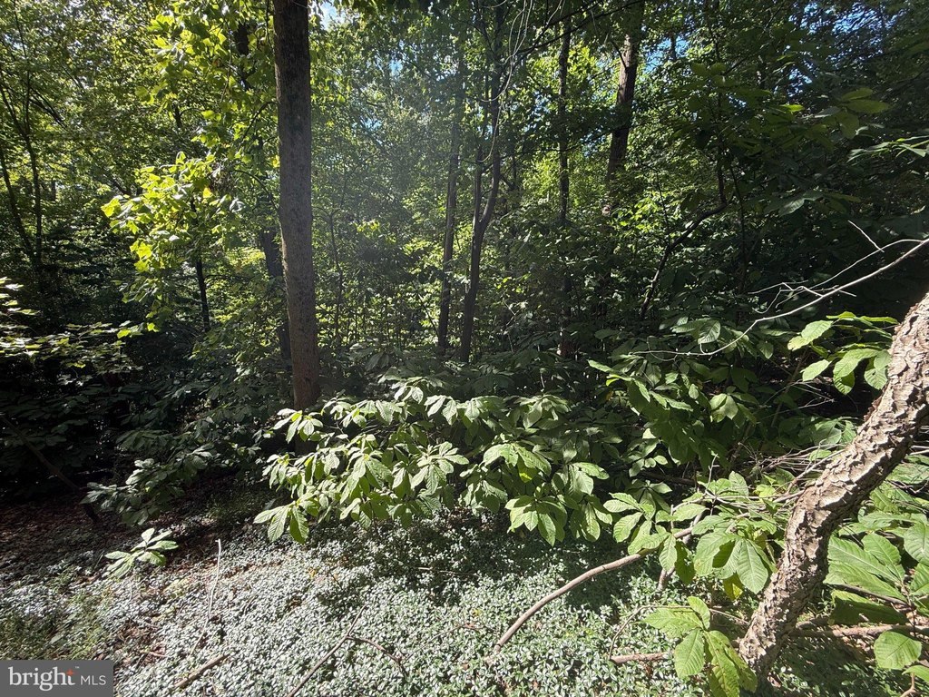 Picture 29