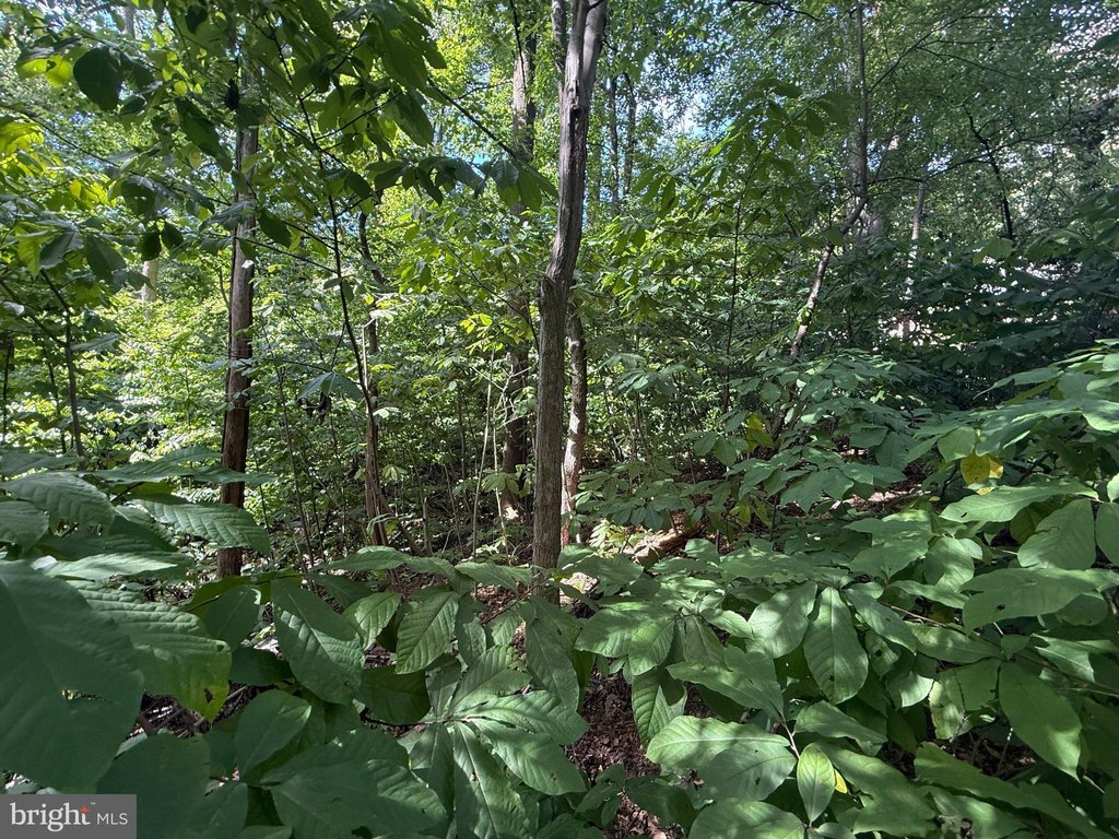 Picture 30