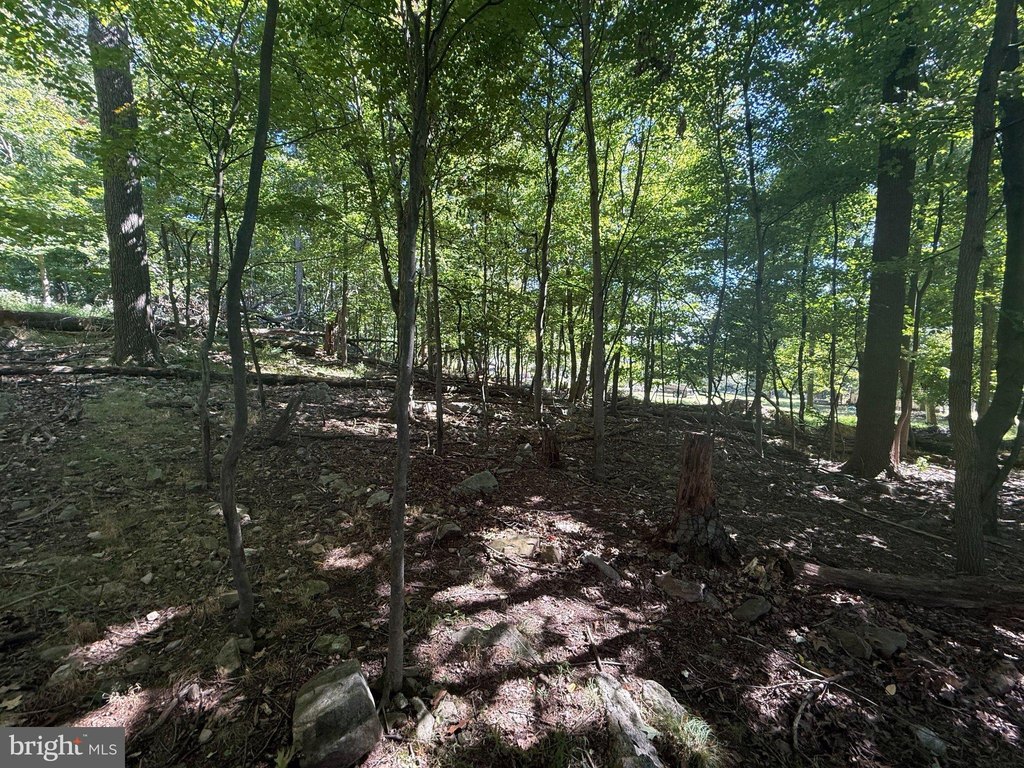 Picture 22