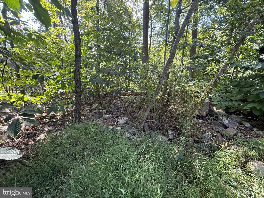 Picture 15