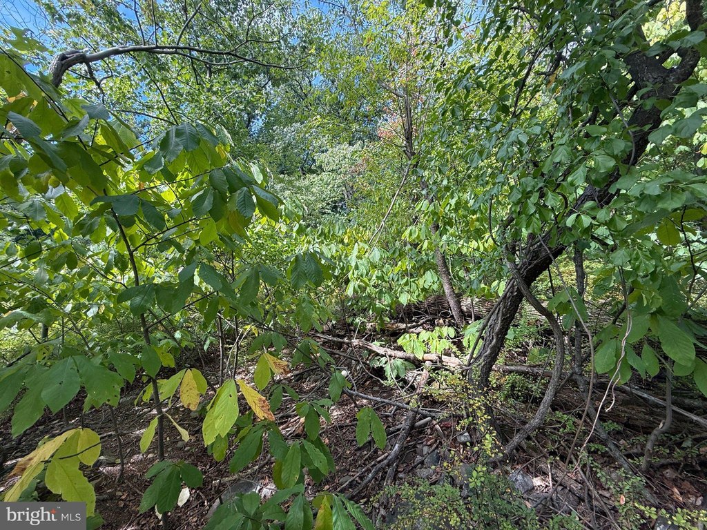 Picture 28