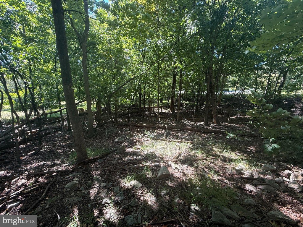 Picture 23