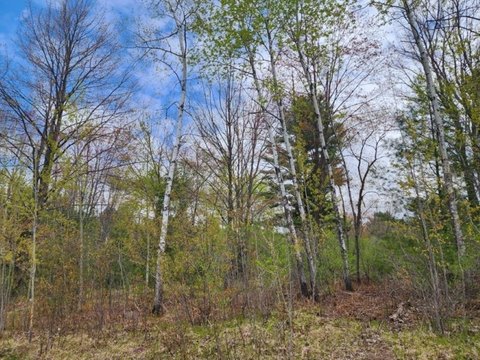 Wausau, WI Building Lot