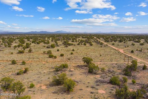 Treed Land Near Grand Canyon