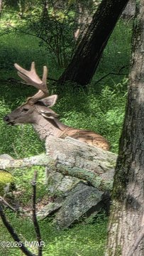 Land, Milford, PA