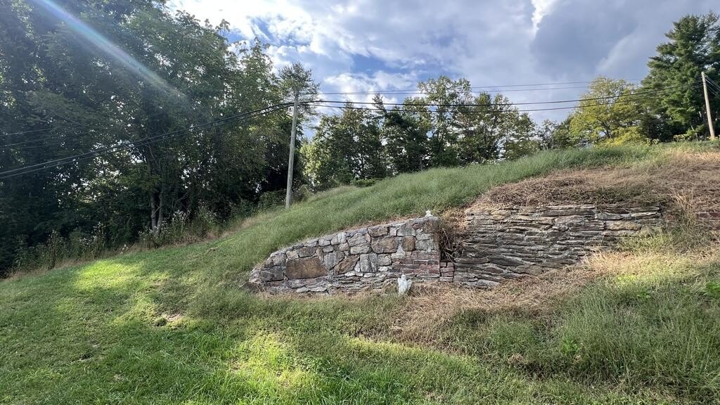 Picture 19