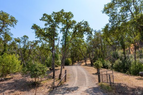 Hilltop Ranch Land with Oak Forest