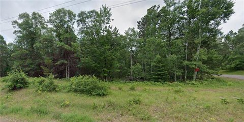 Wooded Parcel Near Webb Lake