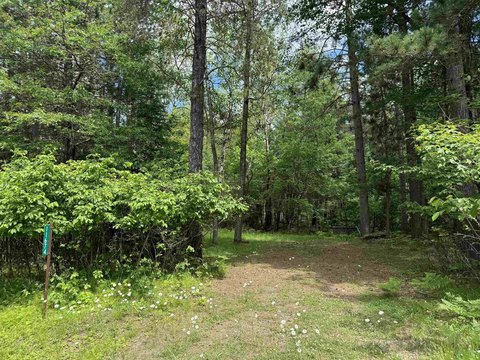 Woodruff, WI Buildable Lot