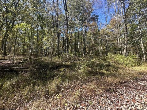 Lots/Land, Terra Alta, WV