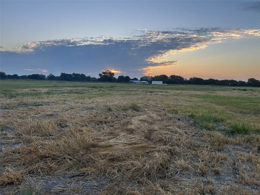 Picture 31