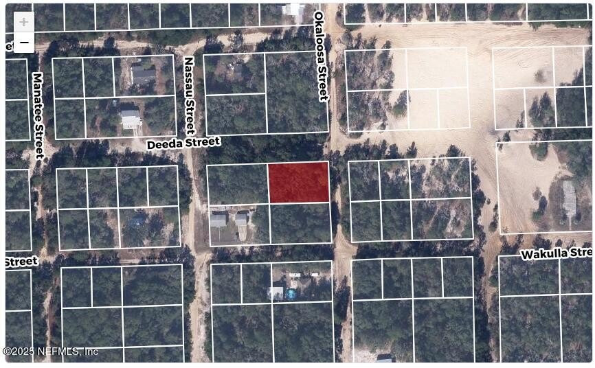 Vacant Lot in Florahome, FL