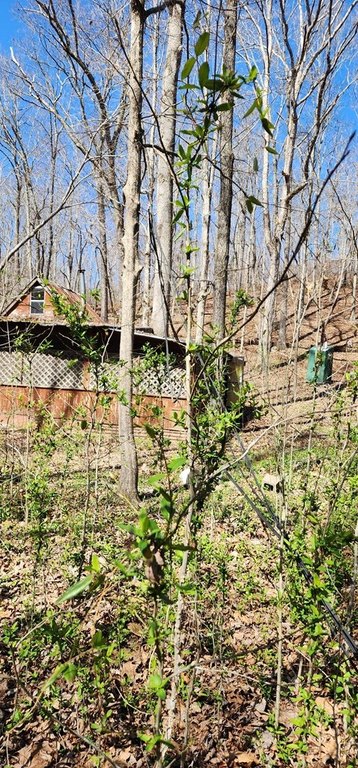 Picture 10