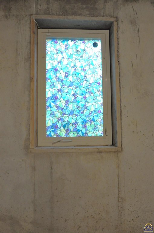 Picture 56