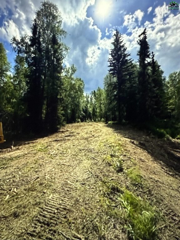 Picture 6