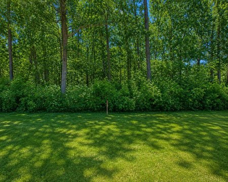 Wooded Residential Lot in Baxter