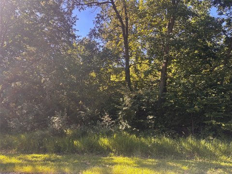 LAND - Panora, IA