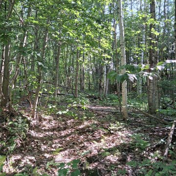 Residential Land Parcel with Road Frontage