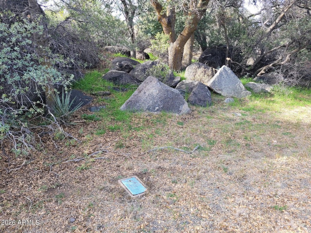 Picture 18
