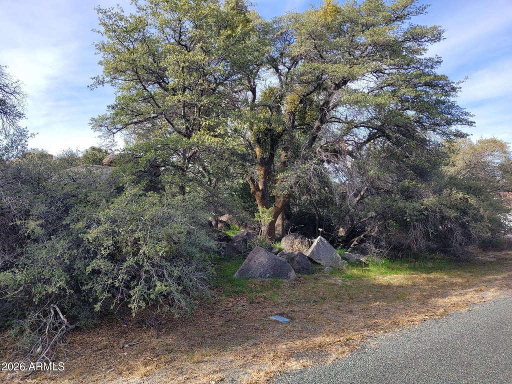 Picture 17