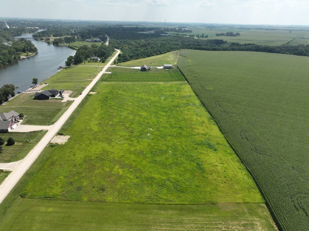 Picture 11