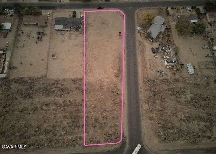 Picture 5